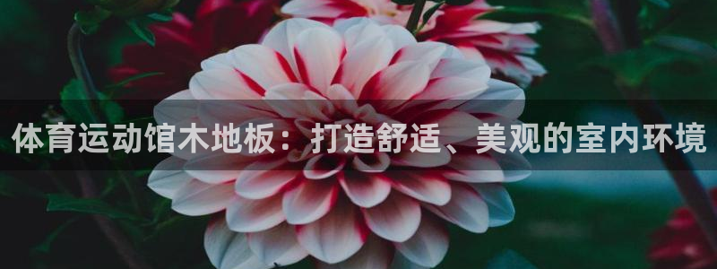 风暴体育app官方下载：体育运动馆木地板：打造舒适、美观的室内环境